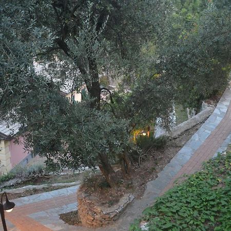 Villa Olivari - Apt Il Melograno Camogli Exterior photo