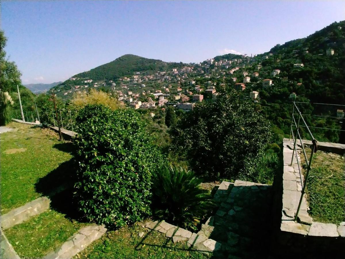 Villa Olivari - Apt Il Melograno Camogli Exterior photo
